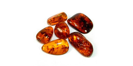 Amber- Hổ Phách