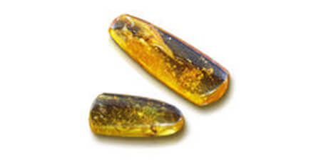 Amber- Hổ Phách