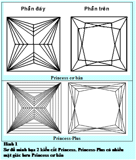 Text Box: Princess cơ bản Princess-Plus Hình 1 Sơ đồ minh họa 2 kiểu cắt Princess. Princess-Plus có nhiều mặt giác hơn Princess cơ bản 