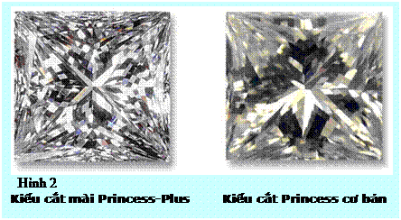 Text Box: Hình 2 Kiểu cắt mài Princess-Plus Kiểu cắt Princess cơ bản 