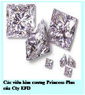 Text Box: Các viên kim cương Princess-Plus của Cty EFD 