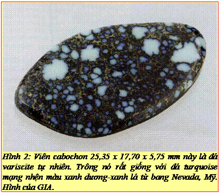Text Box: Hình 2: Viên cabochon 25,35 x 17,70 x 5,75 mm này là đá variscite tự nhiên. Trông nó rất giống với đá turquoise mạng nhện màu xanh dương-xanh lá từ bang Nevada, Mỹ. Hình của GIA. 